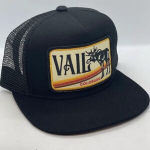 Bart Bridge Vail Flat Brim Hat NWT
